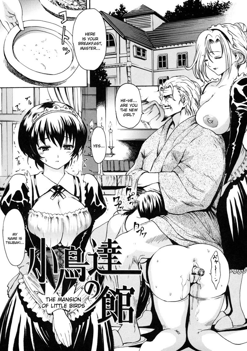 メルティボディ8-小鳥の邸宅