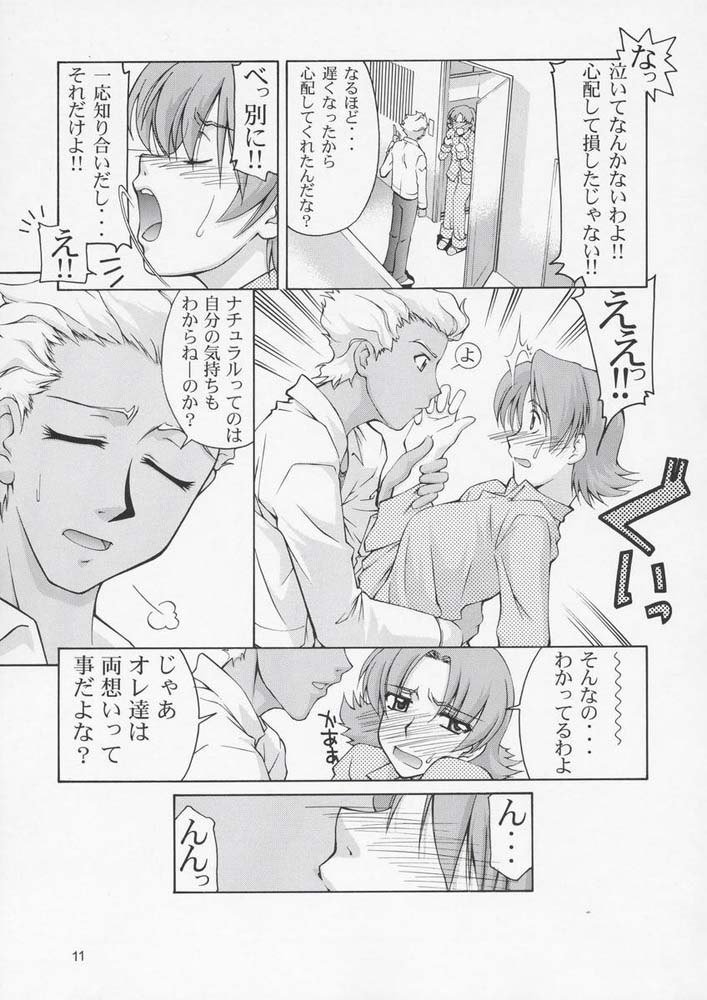 機動戦士ガンダムSEED33版