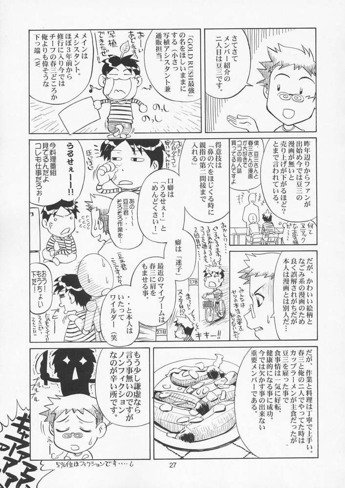 機動戦士ガンダムSEED33版