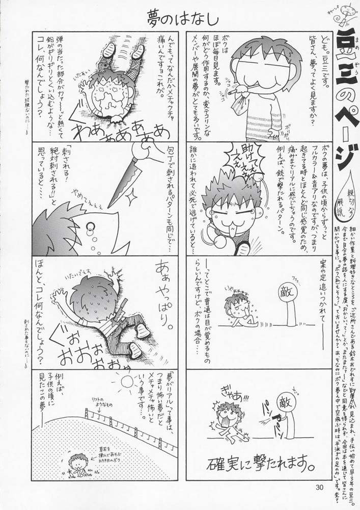 機動戦士ガンダムSEED33版