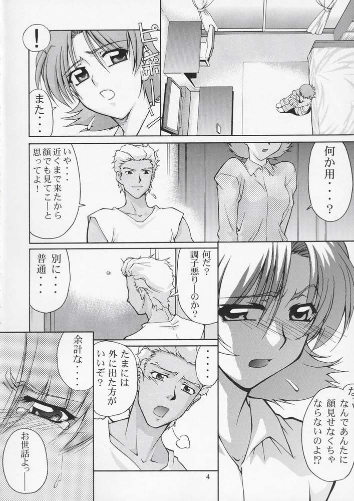 機動戦士ガンダムSEED33版