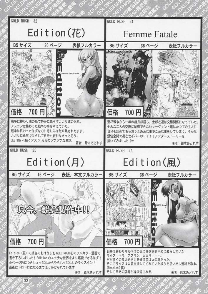 機動戦士ガンダムSEED33版