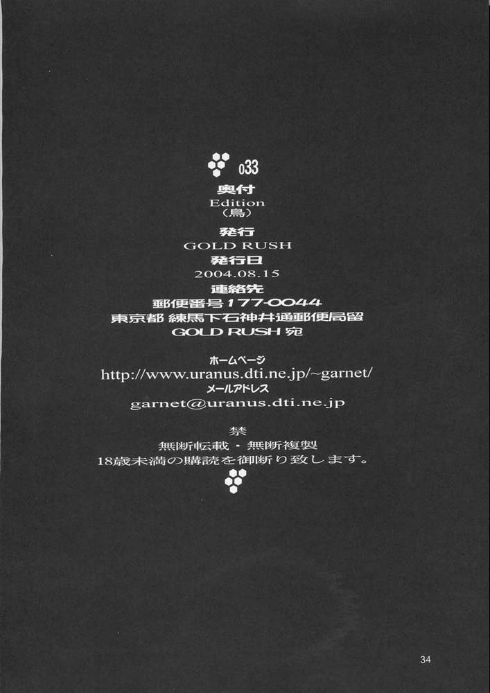 機動戦士ガンダムSEED33版