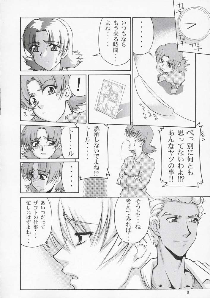 機動戦士ガンダムSEED33版