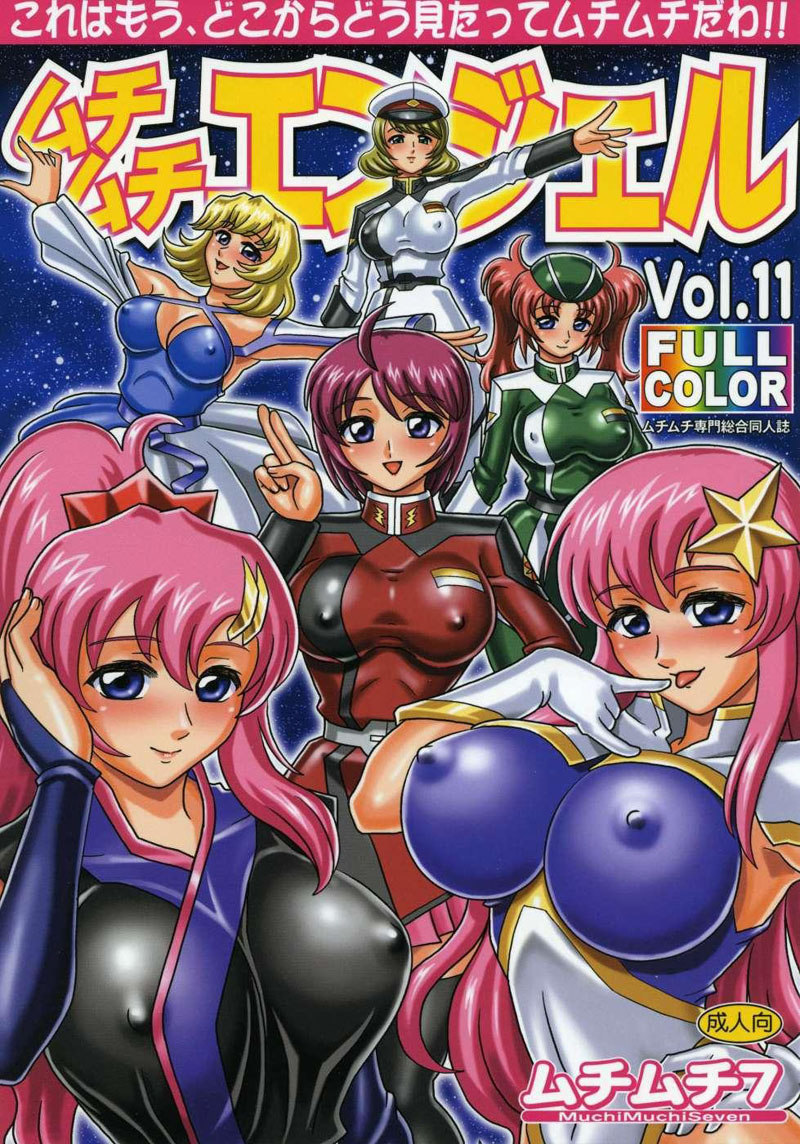 ガンダムシードデスティニー-ムチムチエンジェル11 ガンダムシードデスティニー-ムチムチエンジェル11