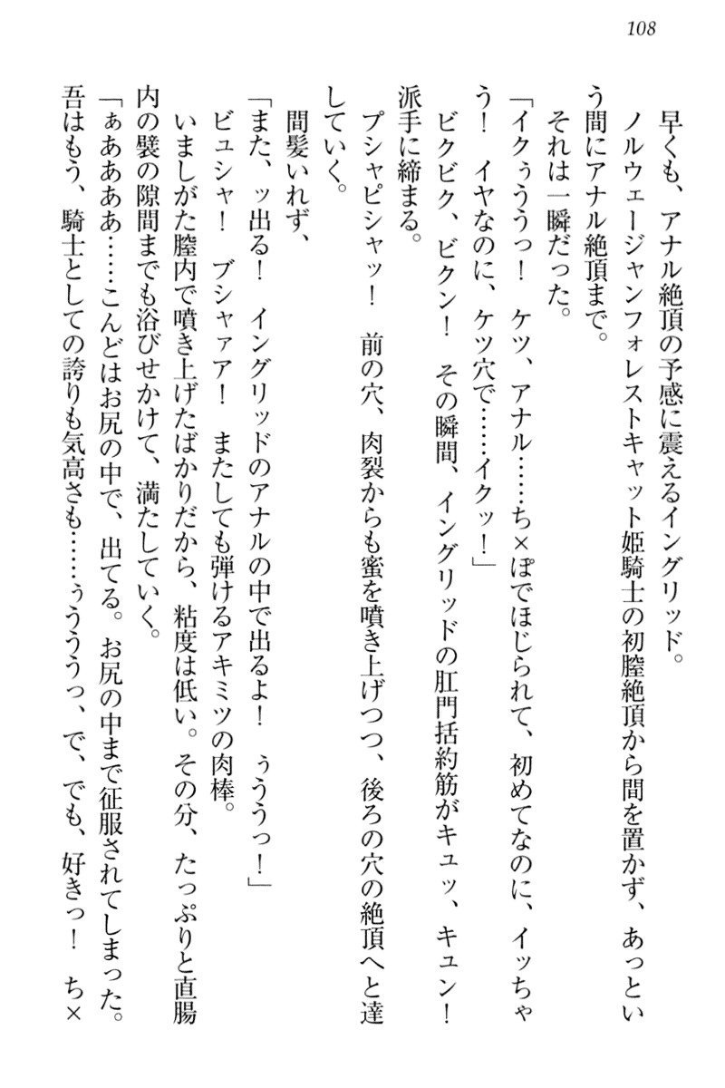 異世界猫あるき