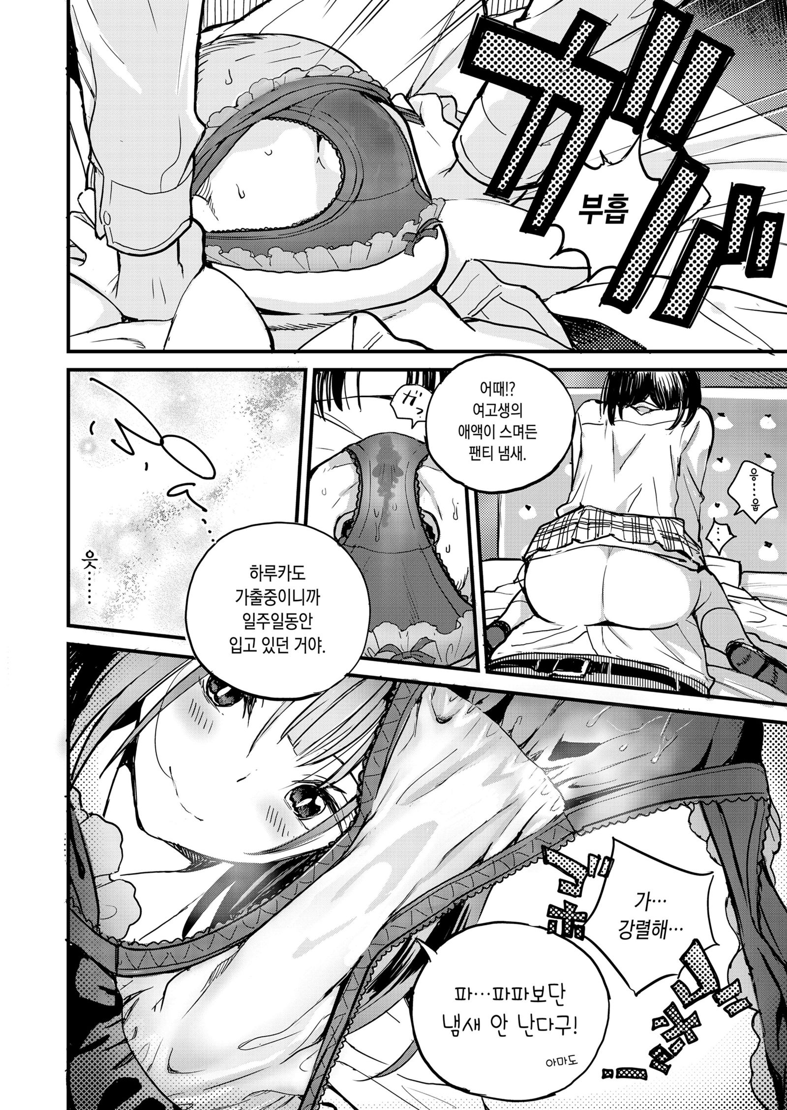 テングタケ属パンテリーナ| 아마니티팬세리나
