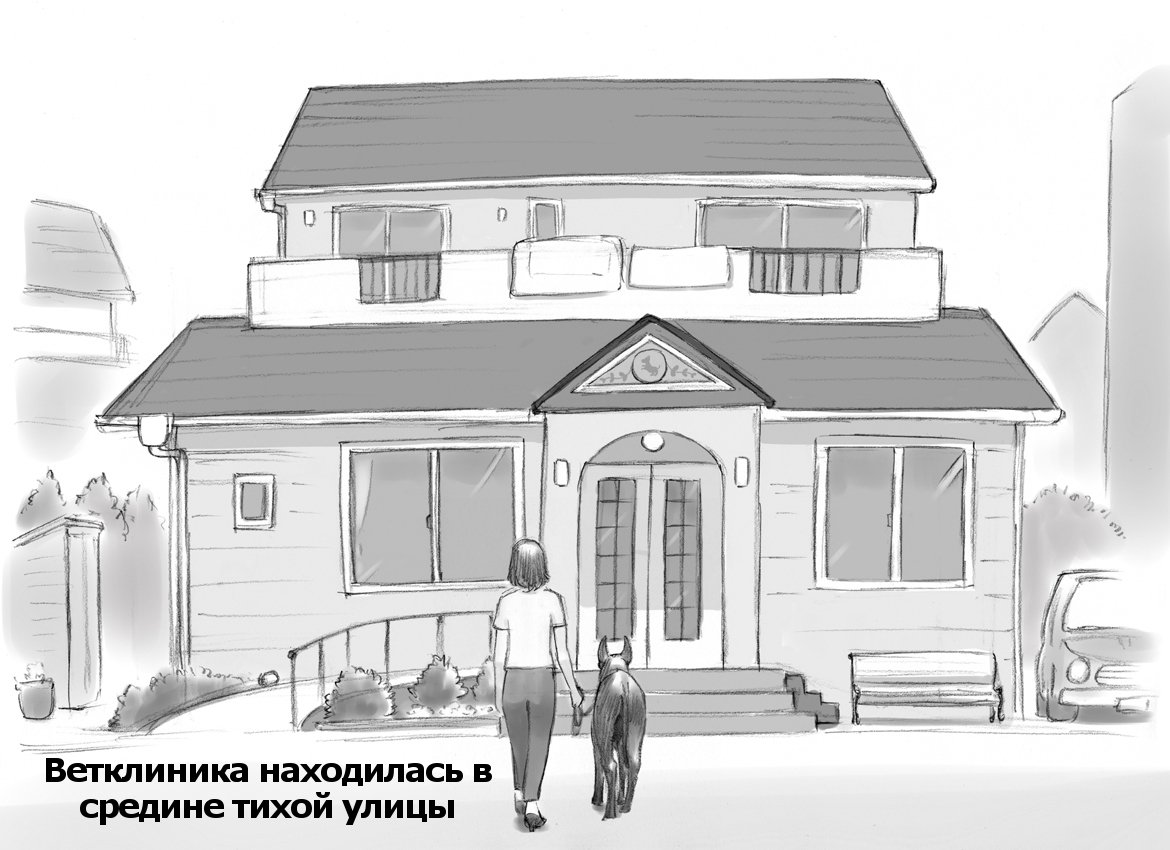 ひみつの犬子クラブ|シークレットパピークラブ