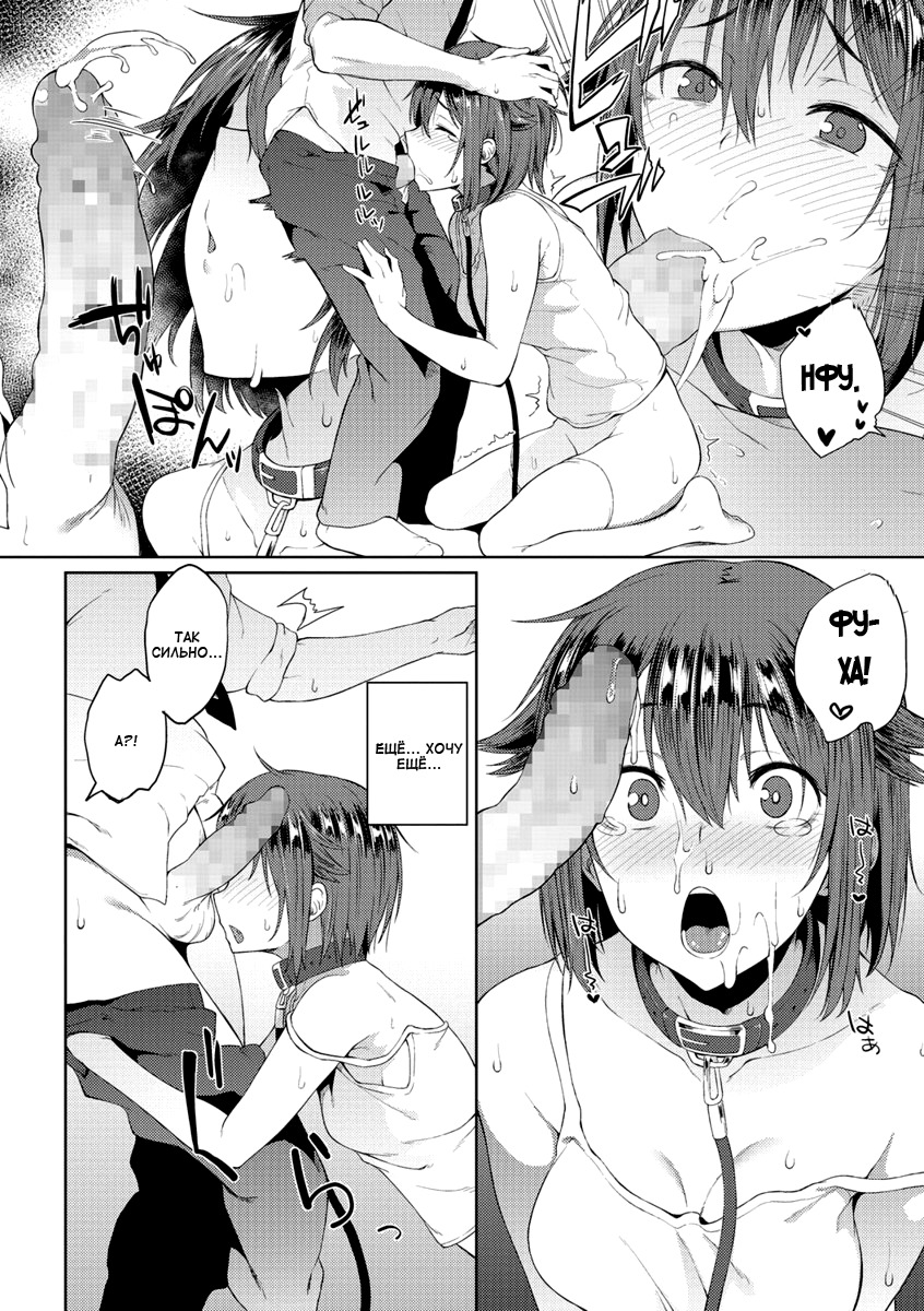 ワンダーカラーЧудо-ошейник