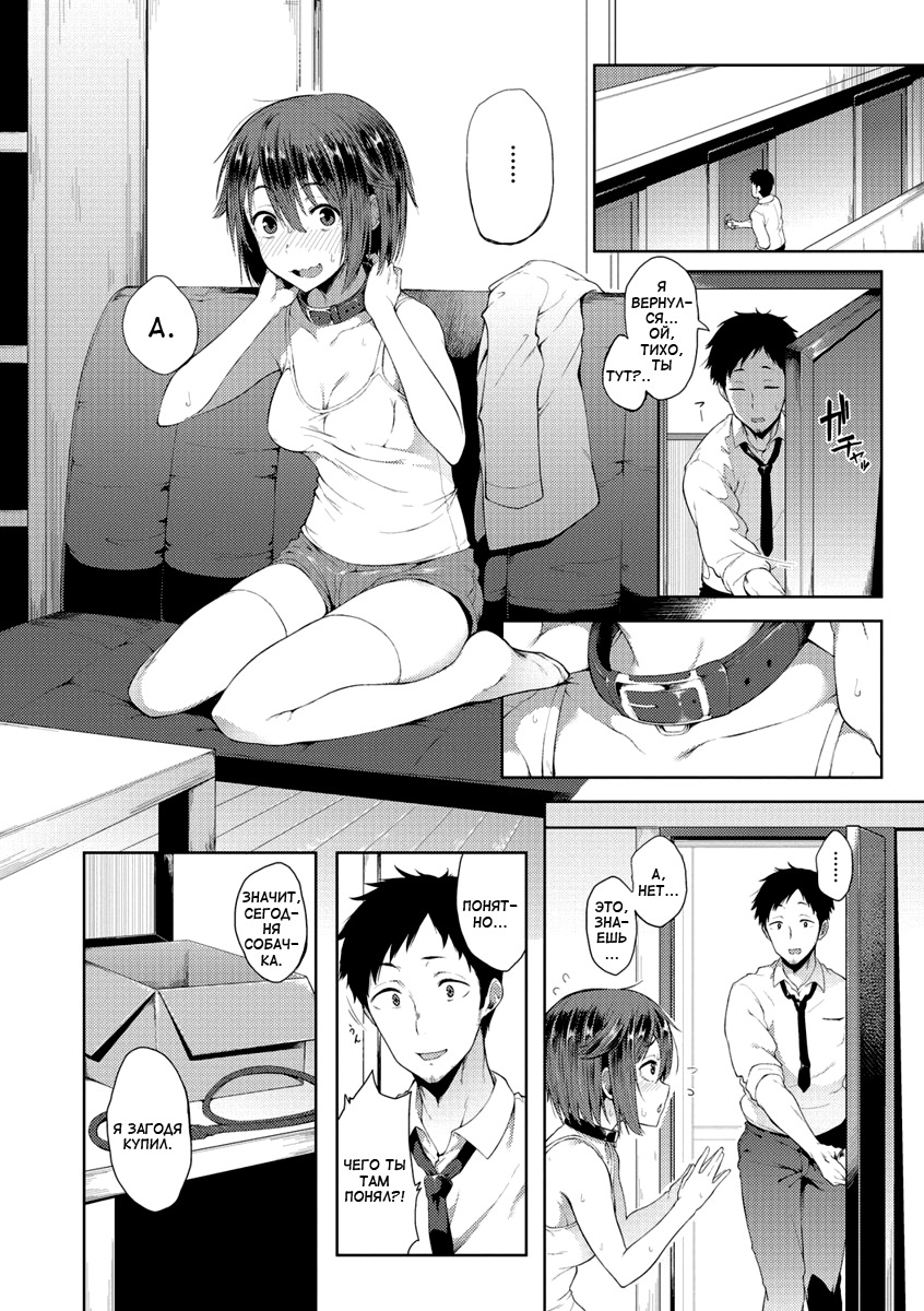 ワンダーカラーЧудо-ошейник