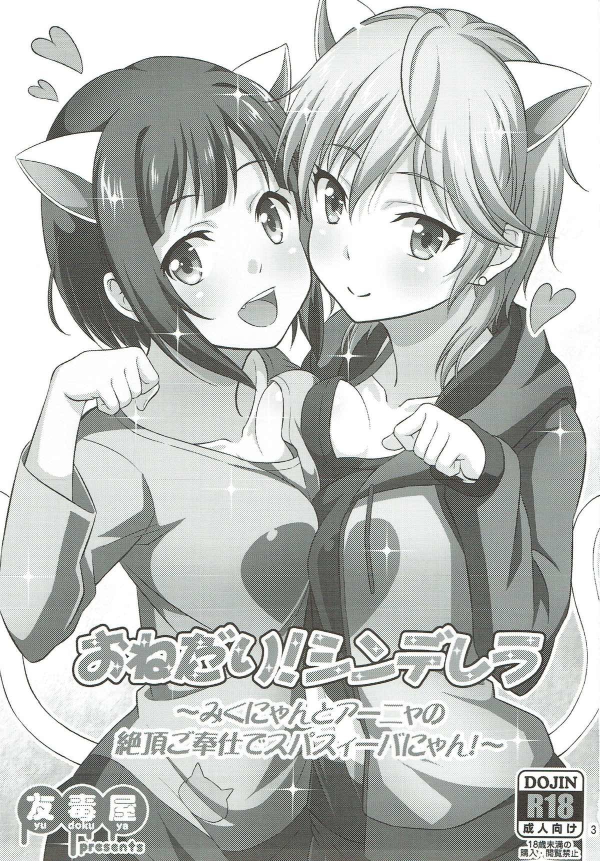 おねだり！シンデレラ〜ミクにゃんとあんやのぜっちょうごほうしでスパシボにゃん〜