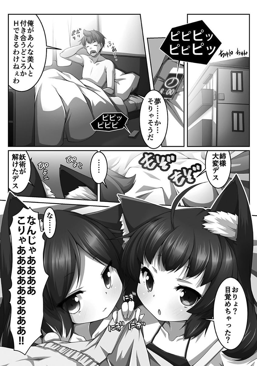 姫岸両条ヴァルキリーハザード