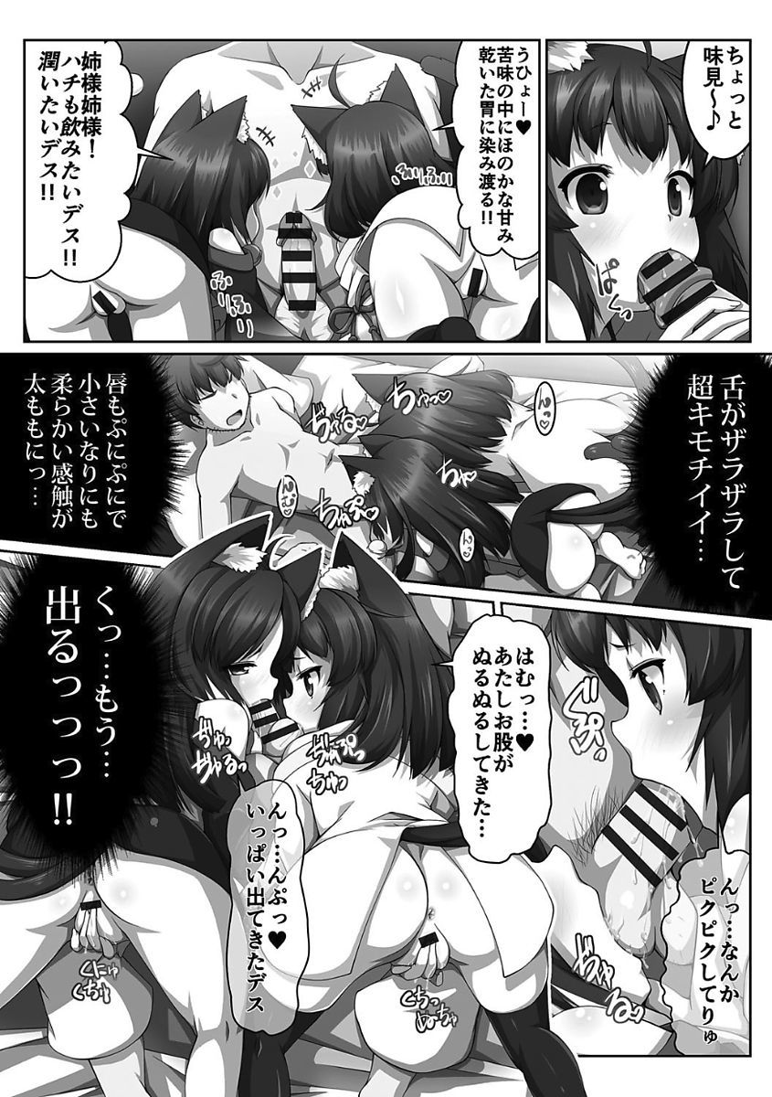 姫岸両条ヴァルキリーハザード