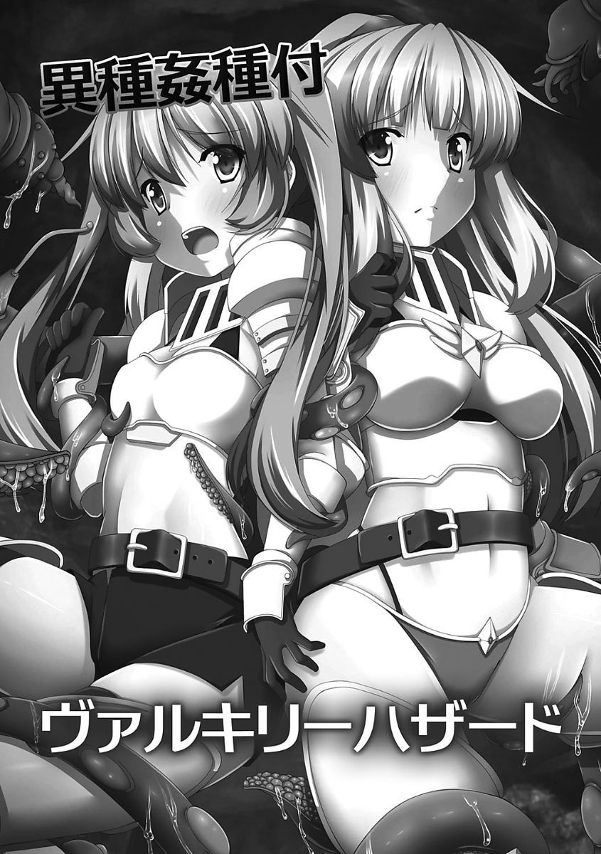 姫岸両条ヴァルキリーハザード