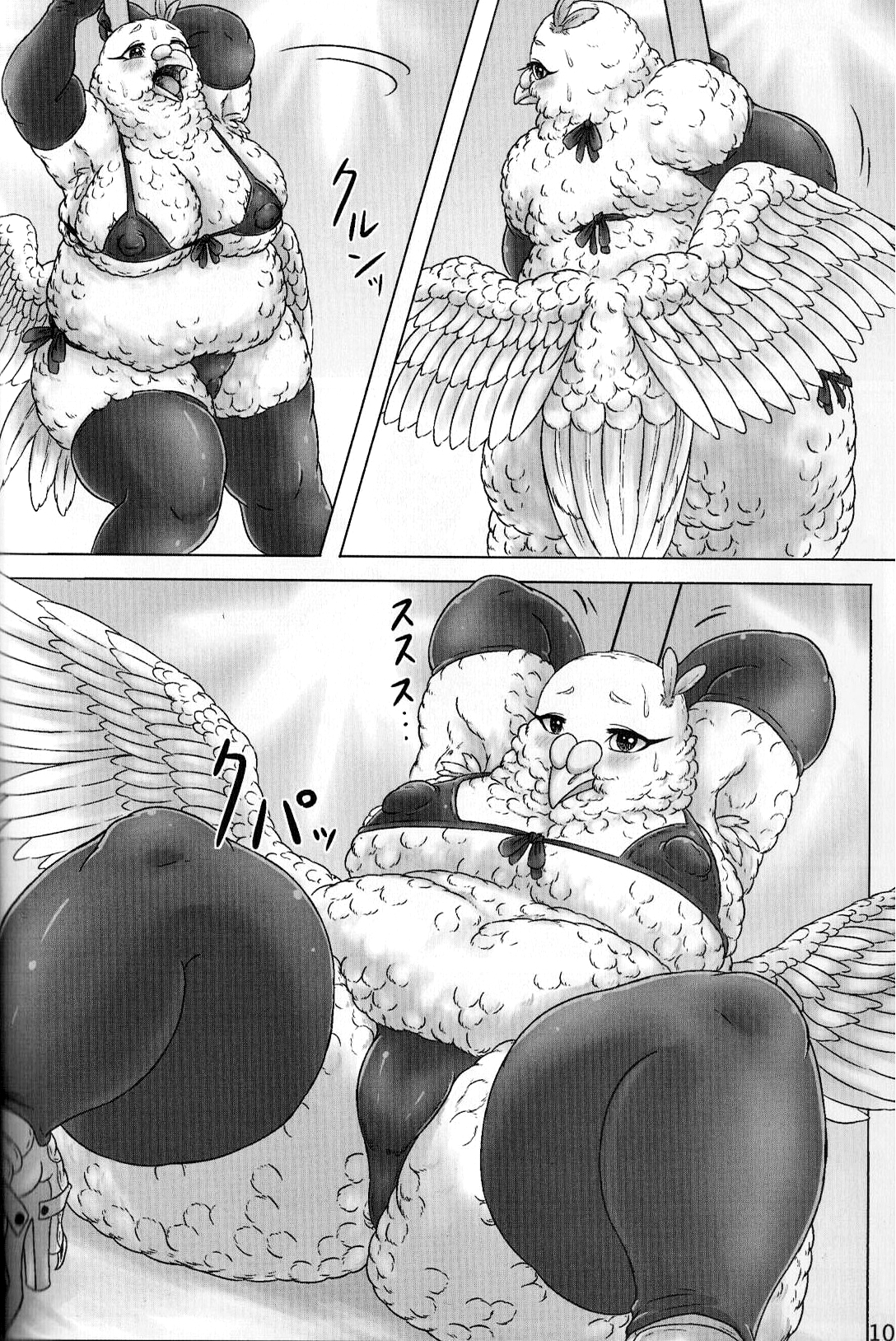 鳩奥さまのレイトショー