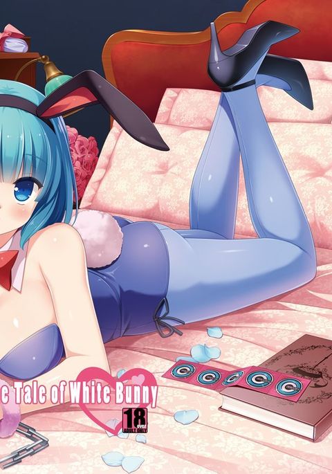 ホワイトバニーの物語 ホワイトバニーの物語