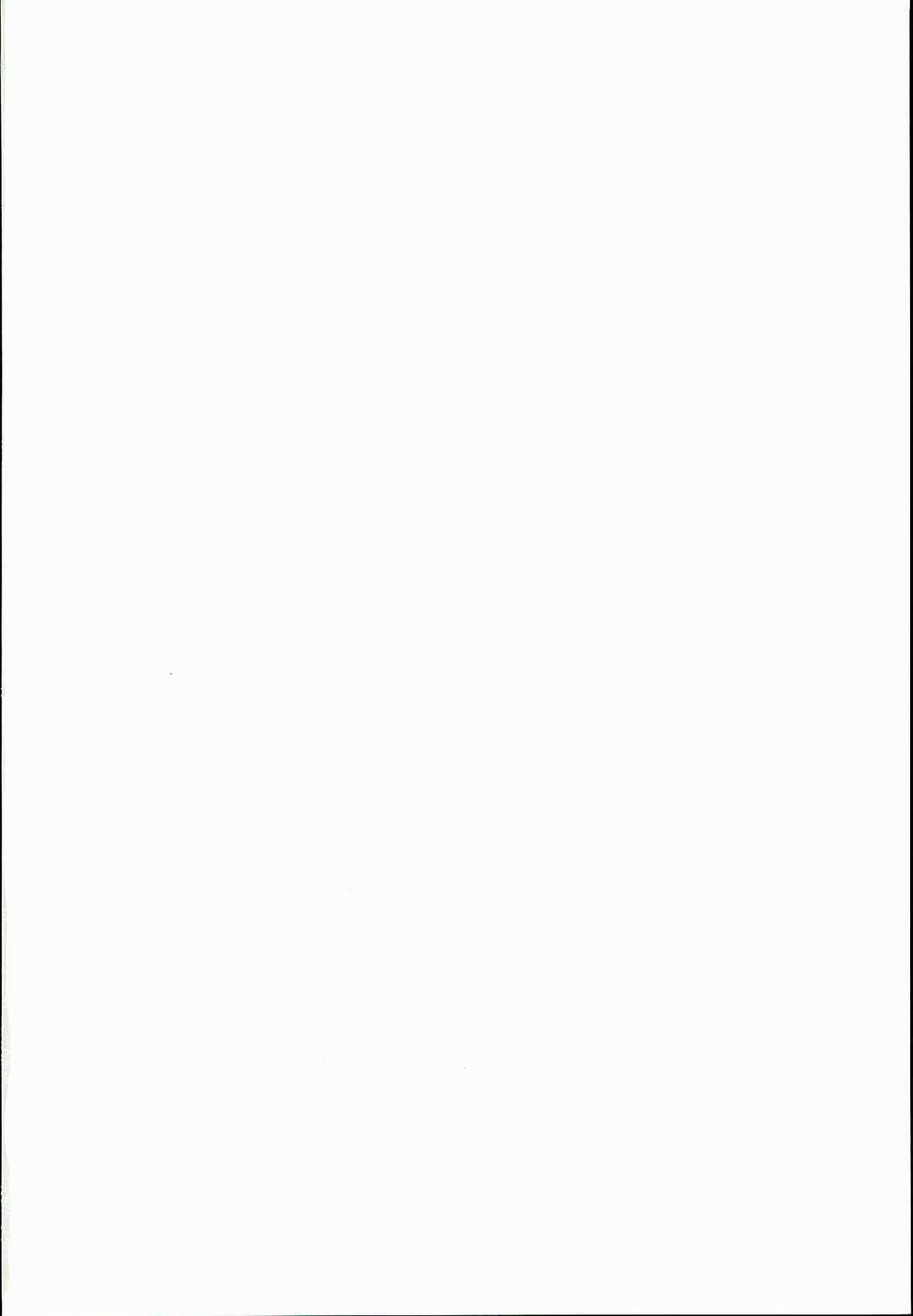 Fate_CCC1同人誌