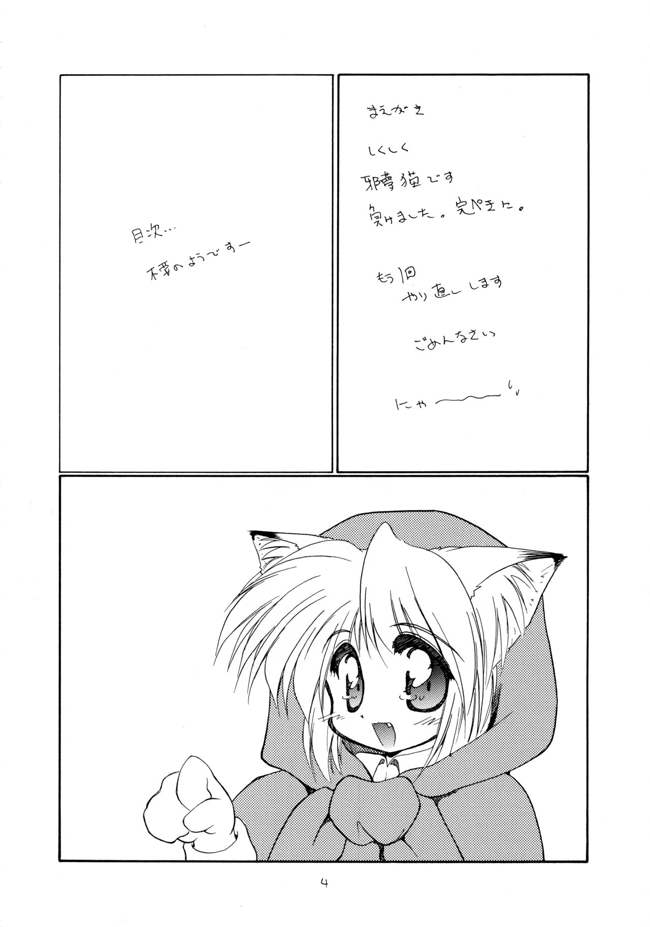 ねこりんぽんっ5