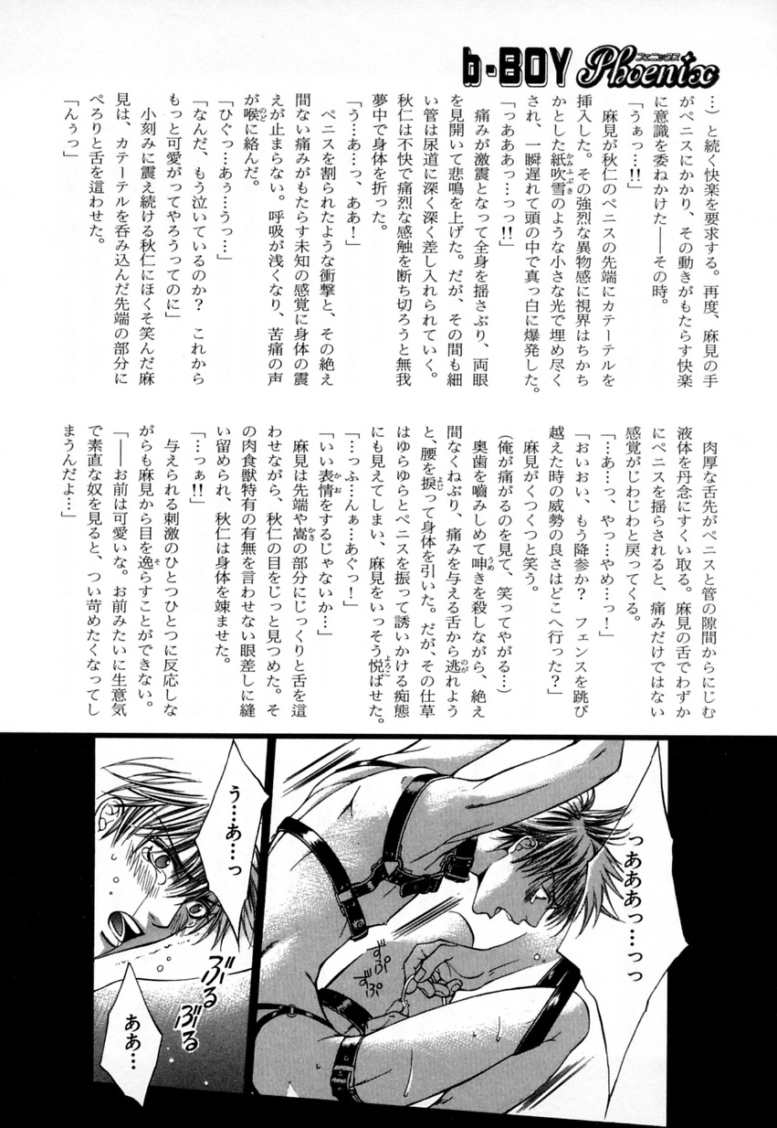 b-BOYフェニックスVol.4性感帯徳州