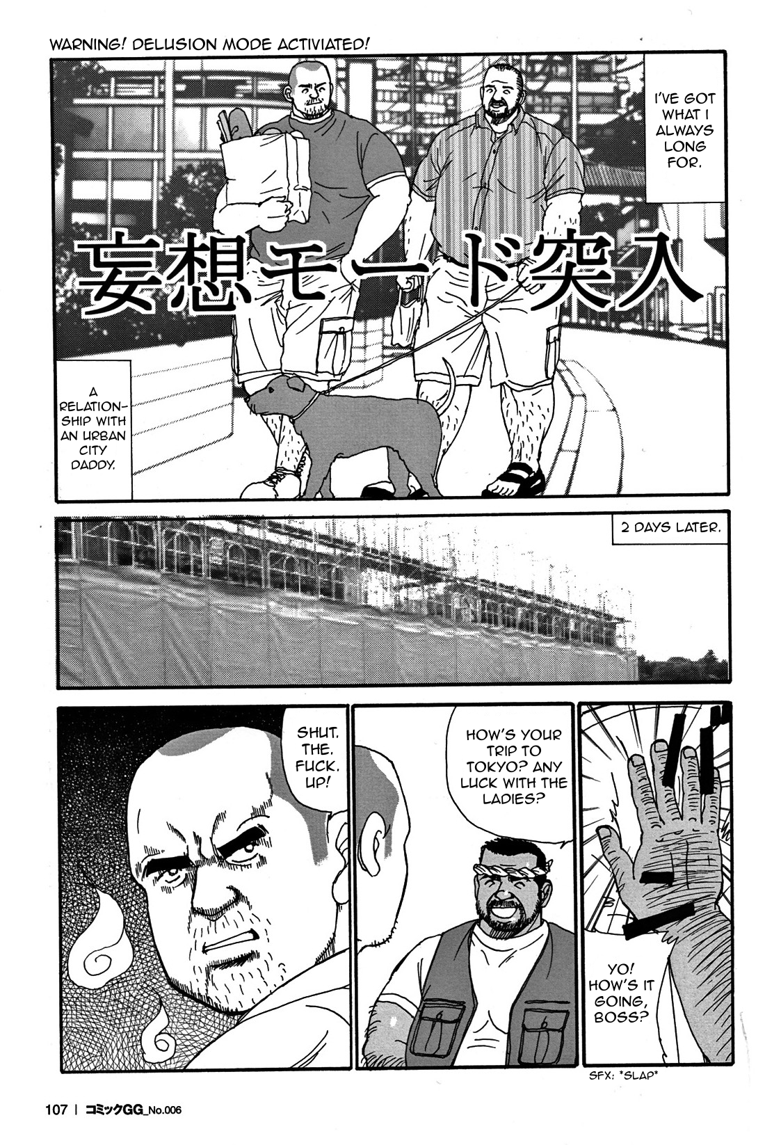 伝統的なセックス