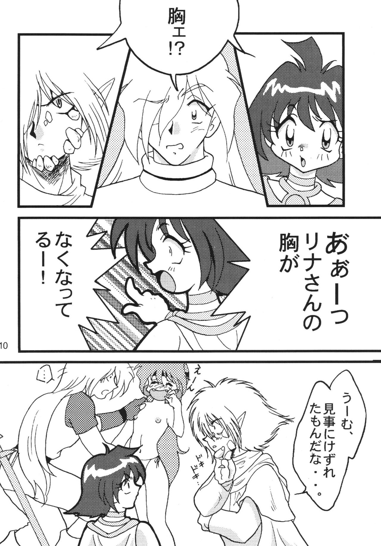 SLAYERS ADULT 9