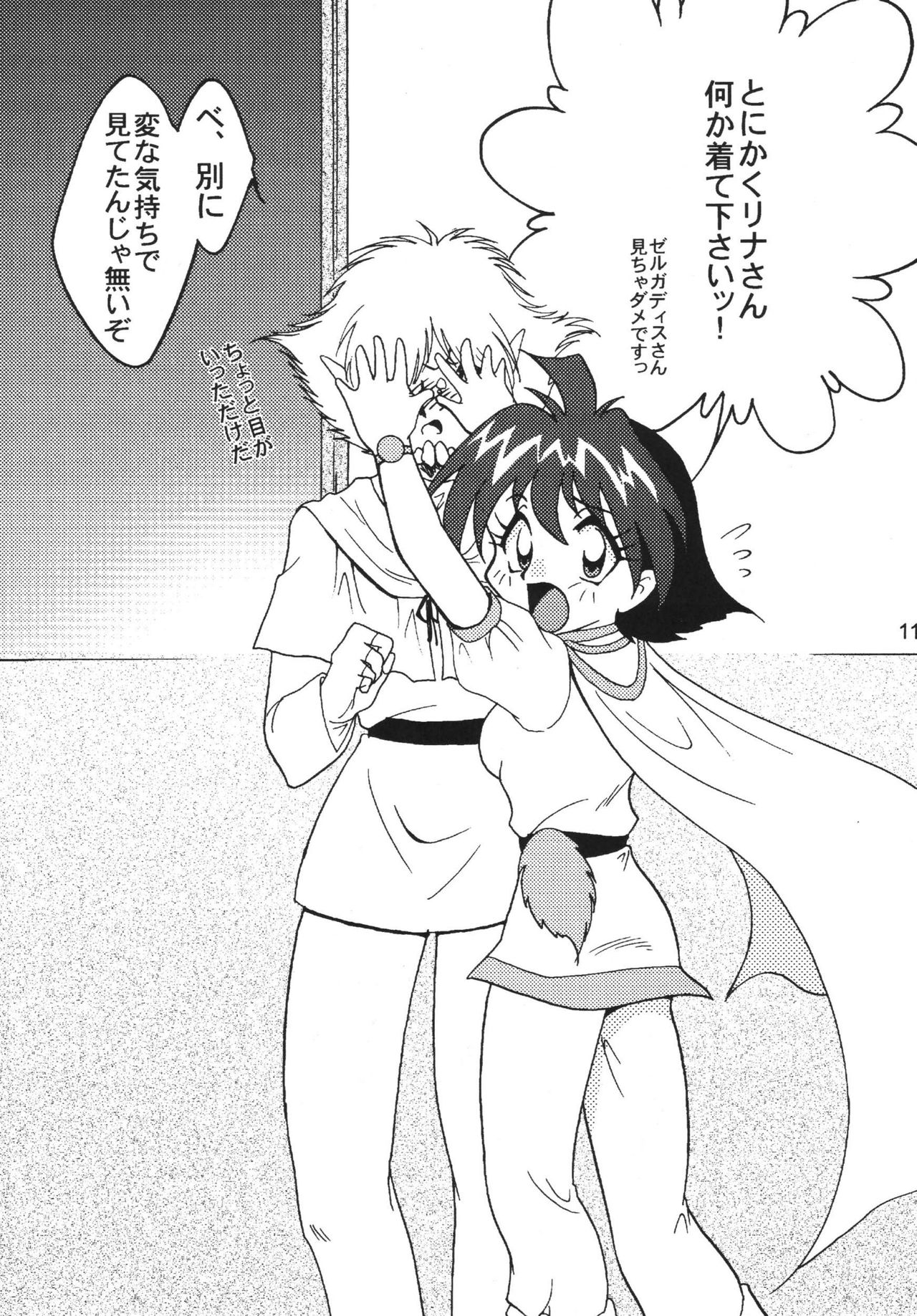 SLAYERS ADULT 9