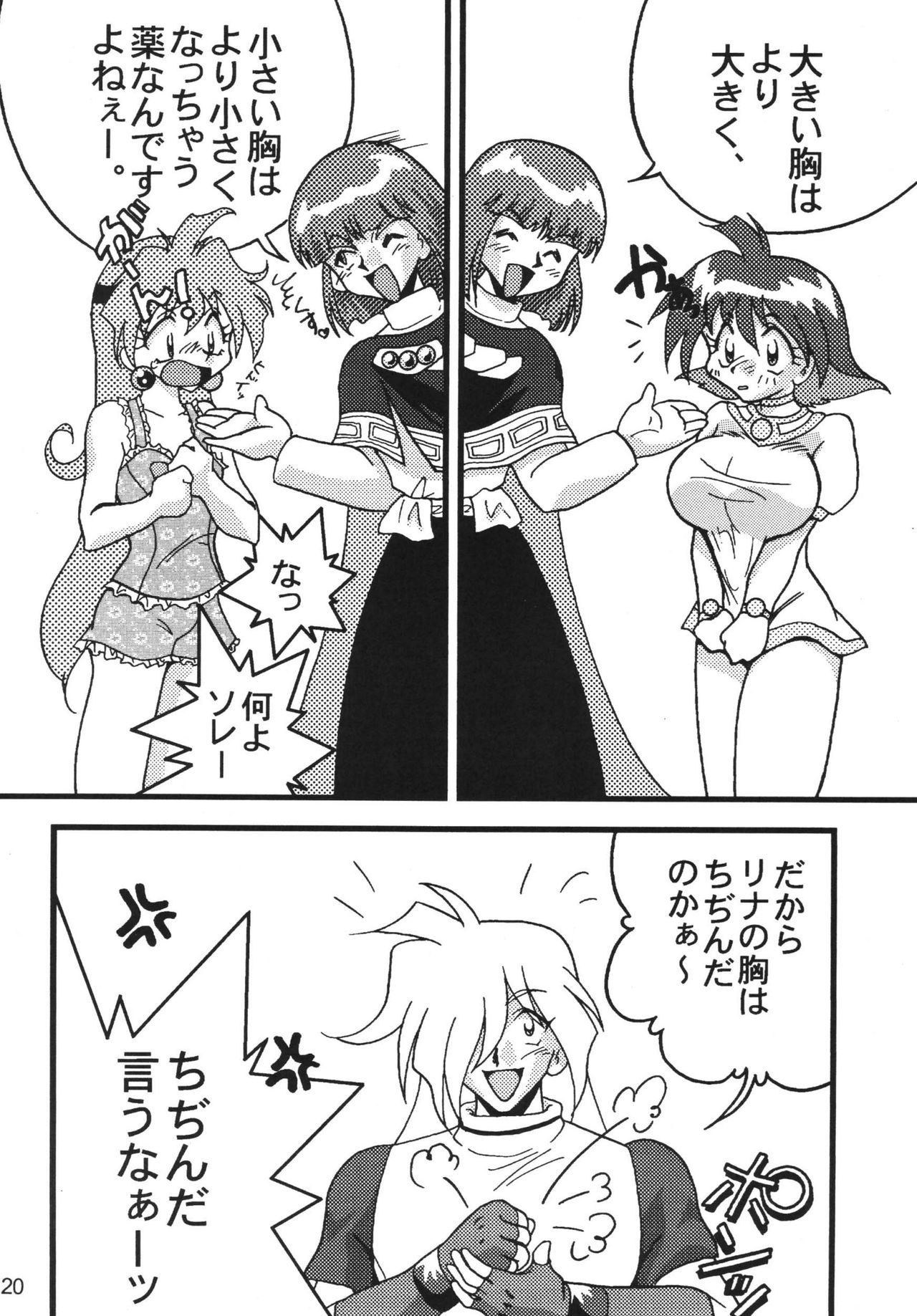 SLAYERS ADULT 9