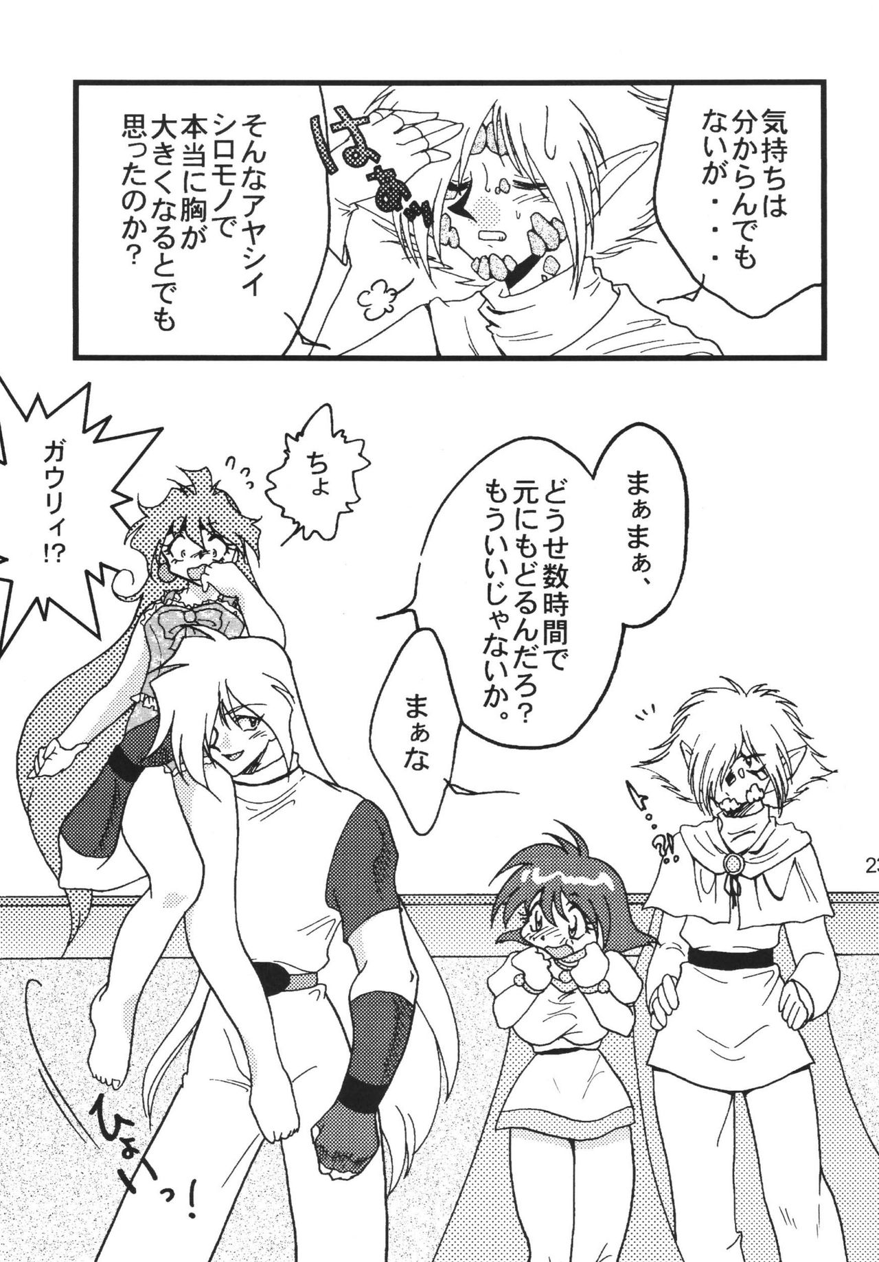 SLAYERS ADULT 9