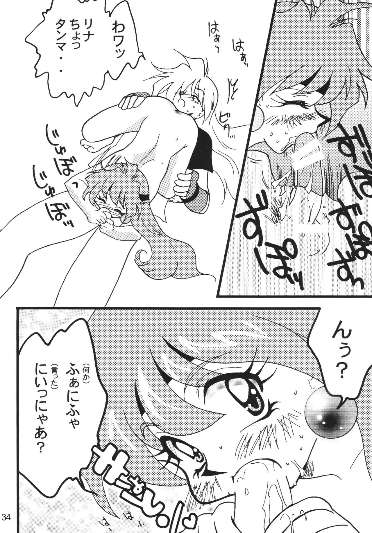 SLAYERS ADULT 9