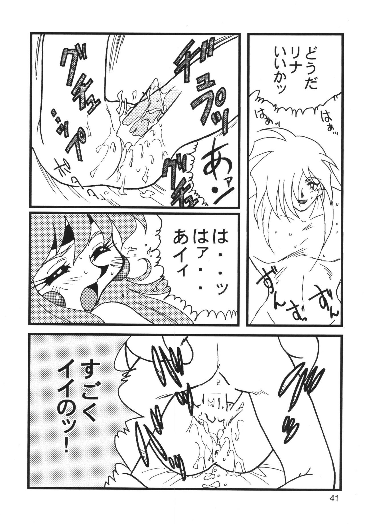SLAYERS ADULT 9