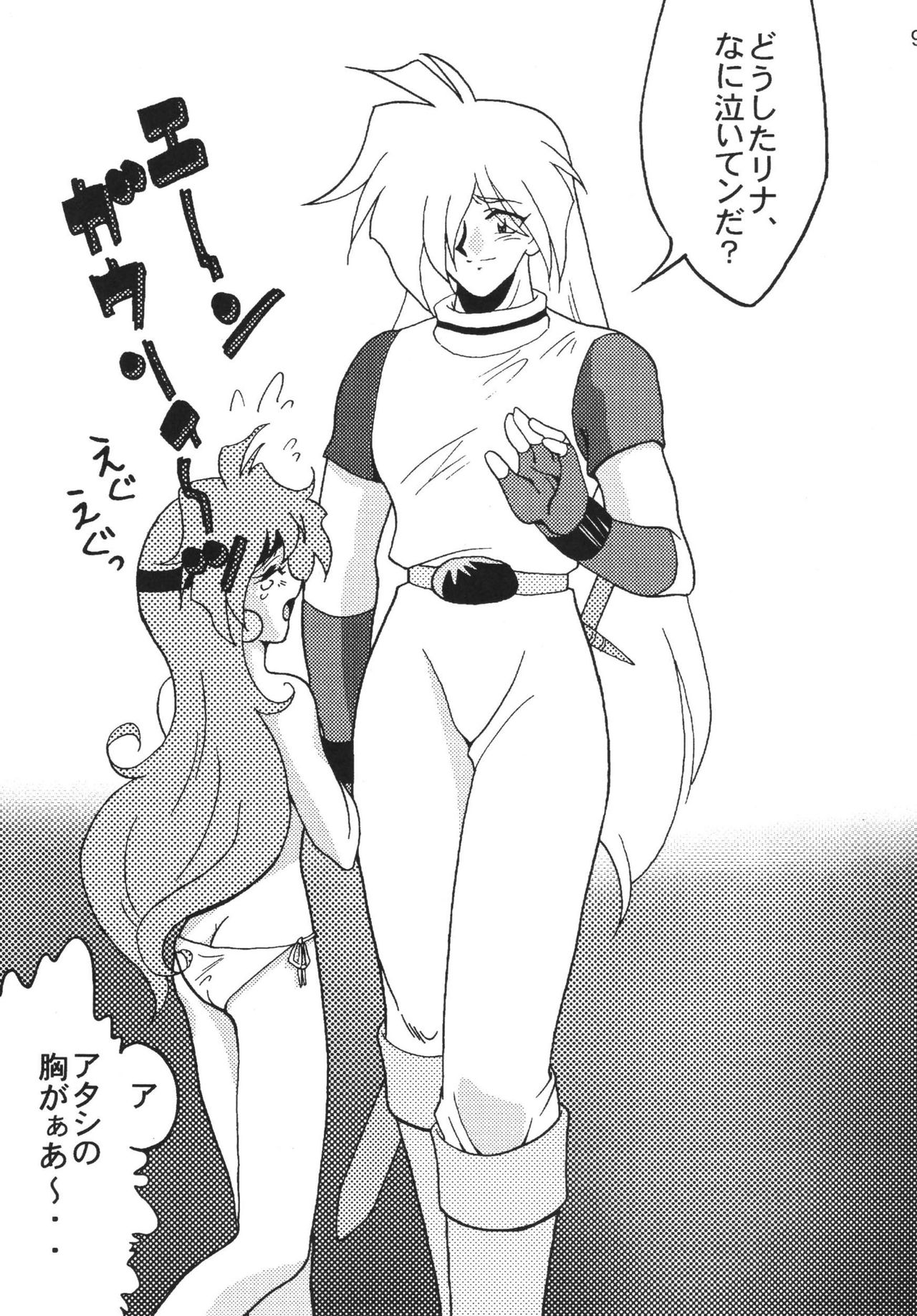 SLAYERS ADULT 9