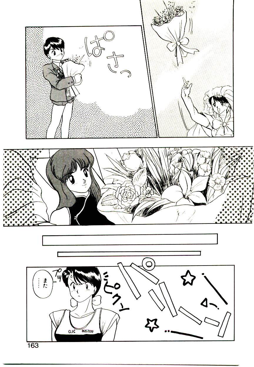 恋するめばえ