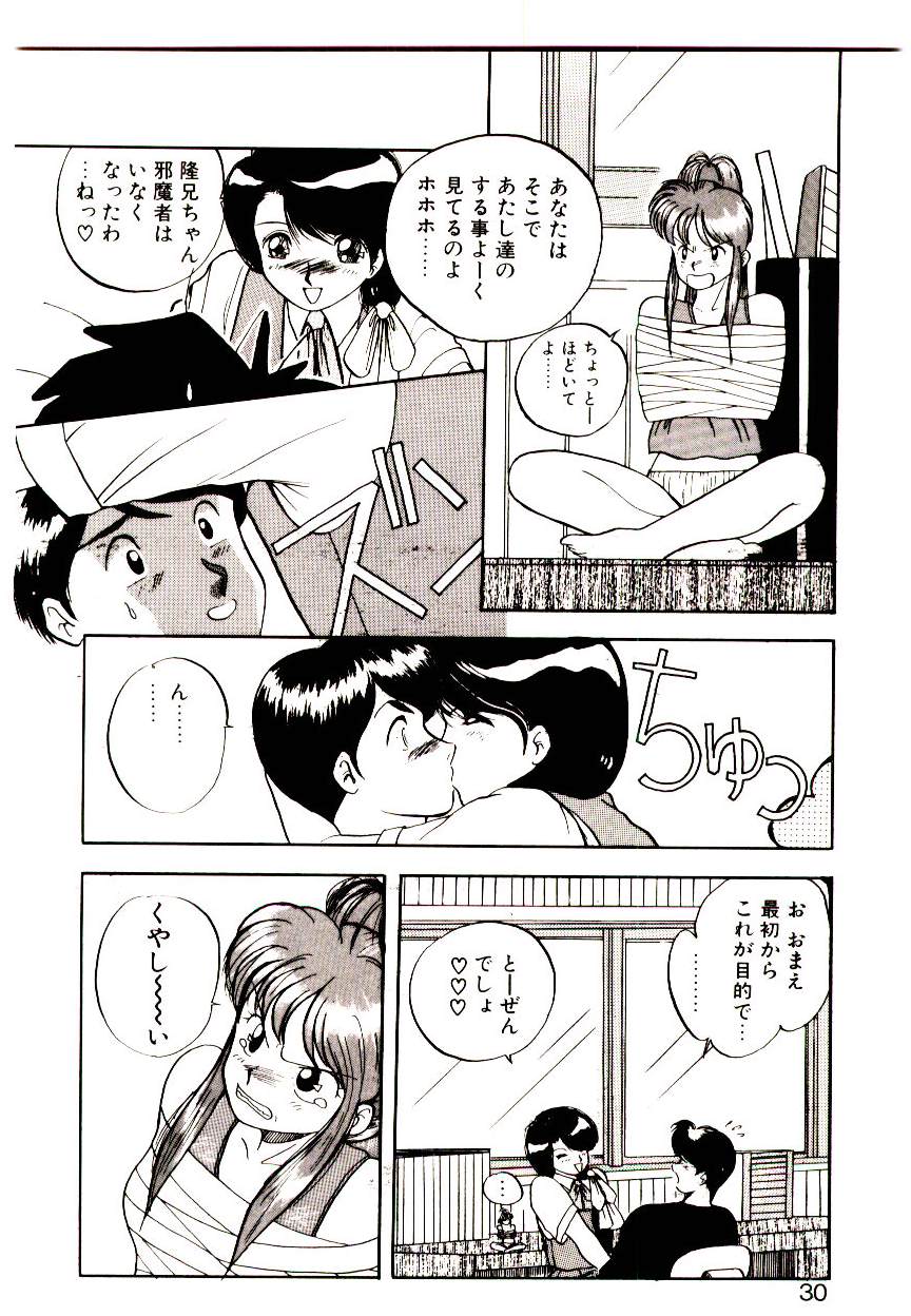 恋するめばえ