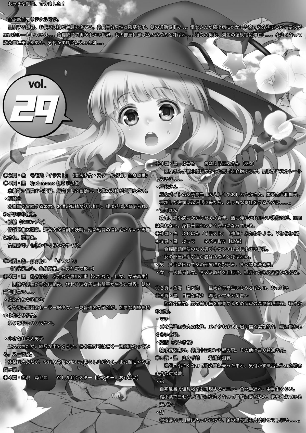 マイクロンマガジンVol。 29