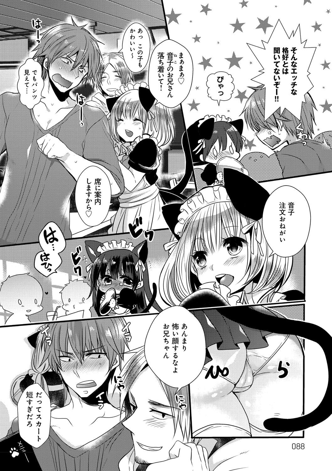 お嬢様はははしたい