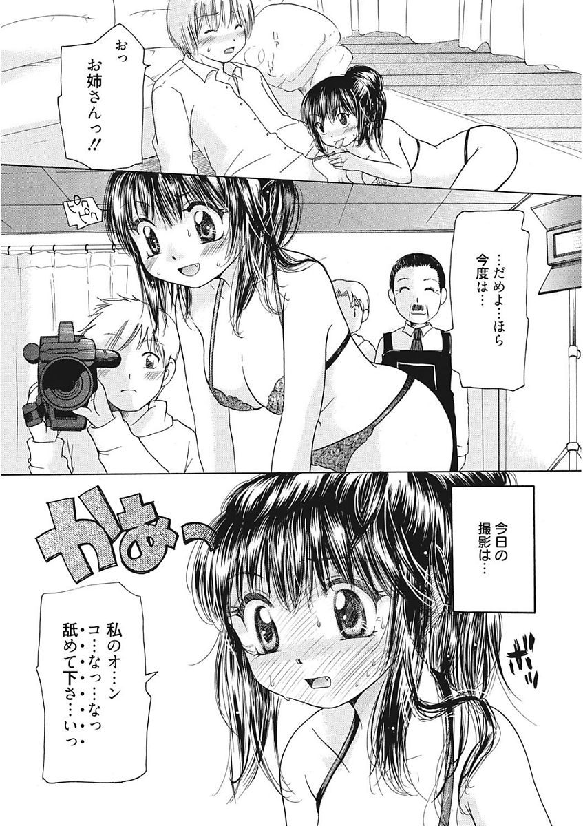 生木狩野城のしつけかた