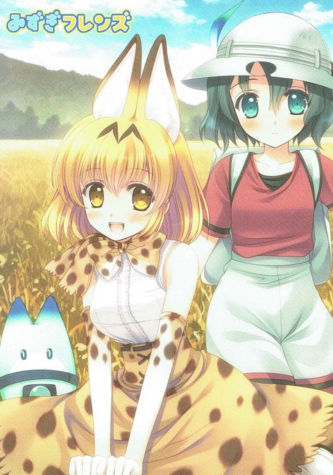 水木フレンズ