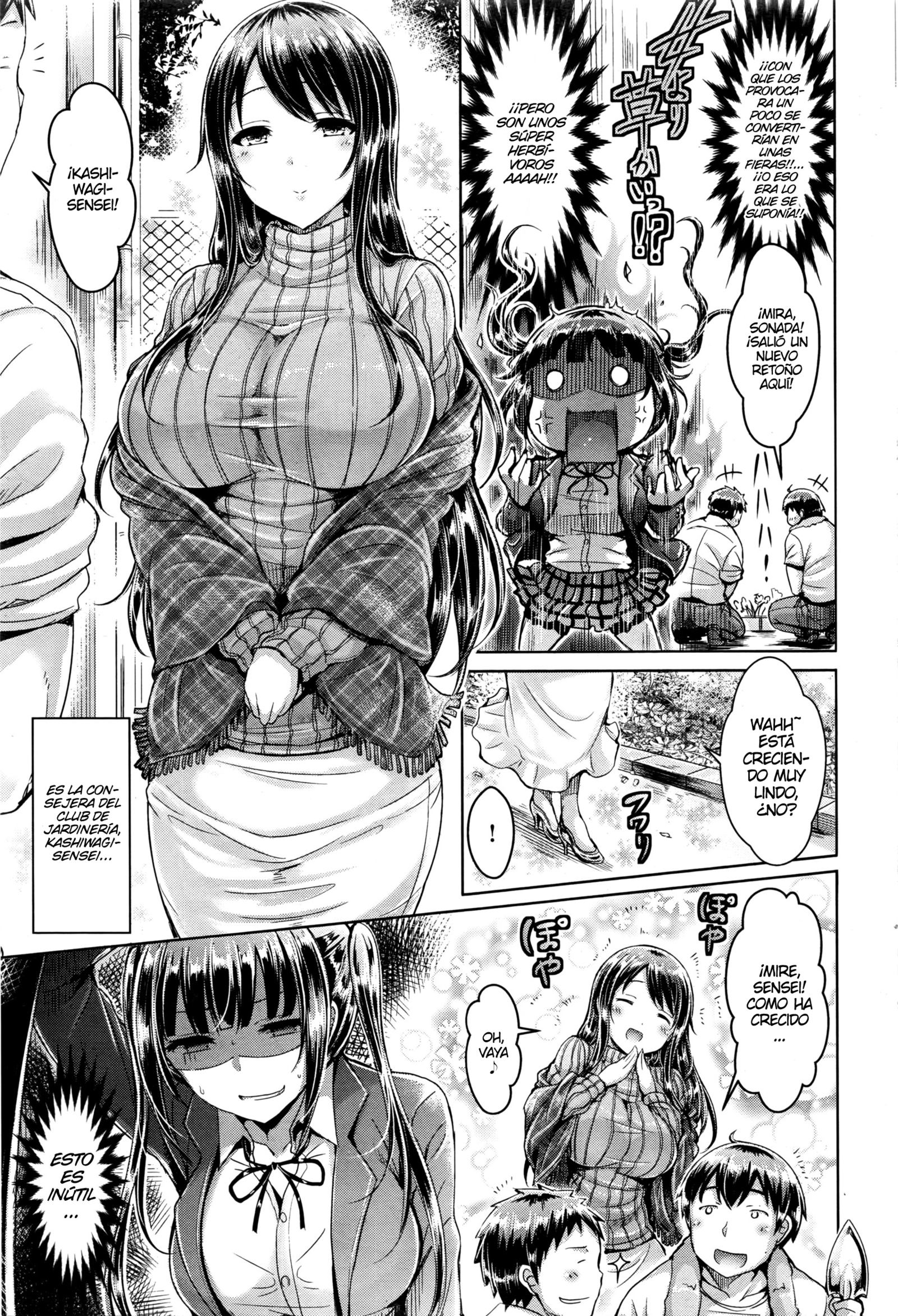 Elcuartetodeljardínsecreto