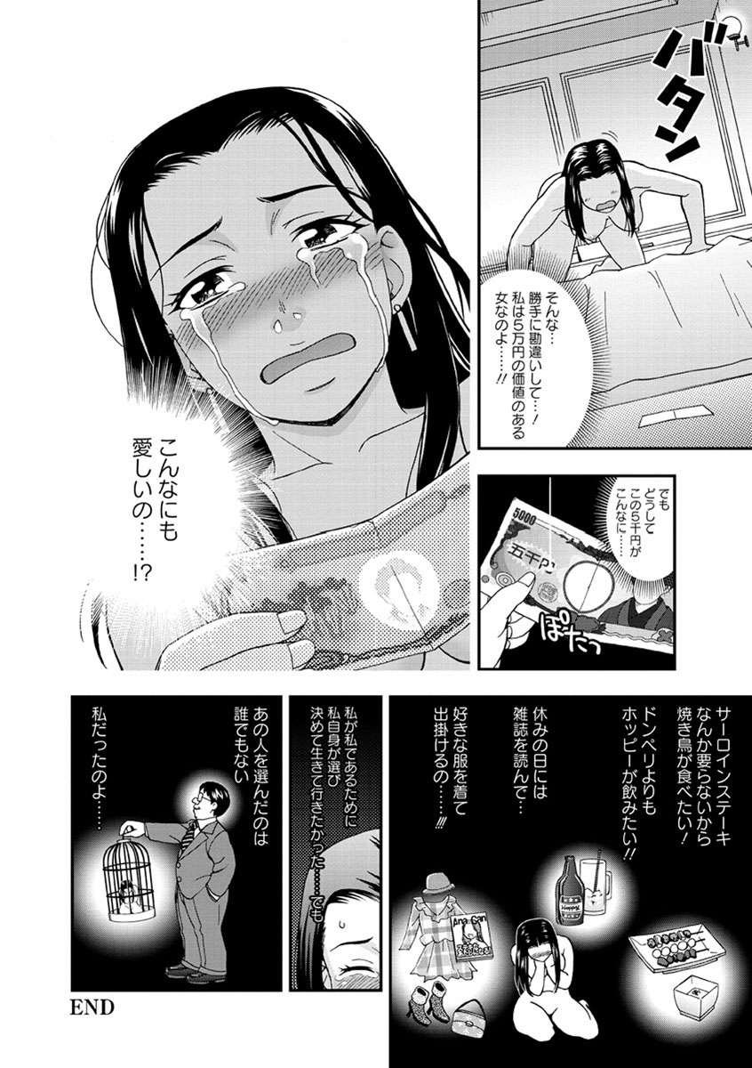 Mesuinuカタログ長陽Inpu