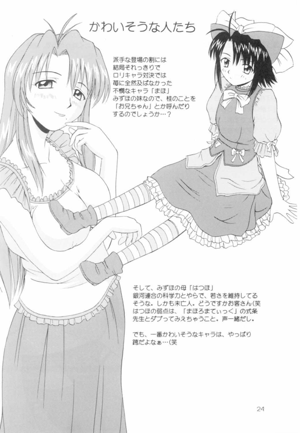 おねがい水穂先生