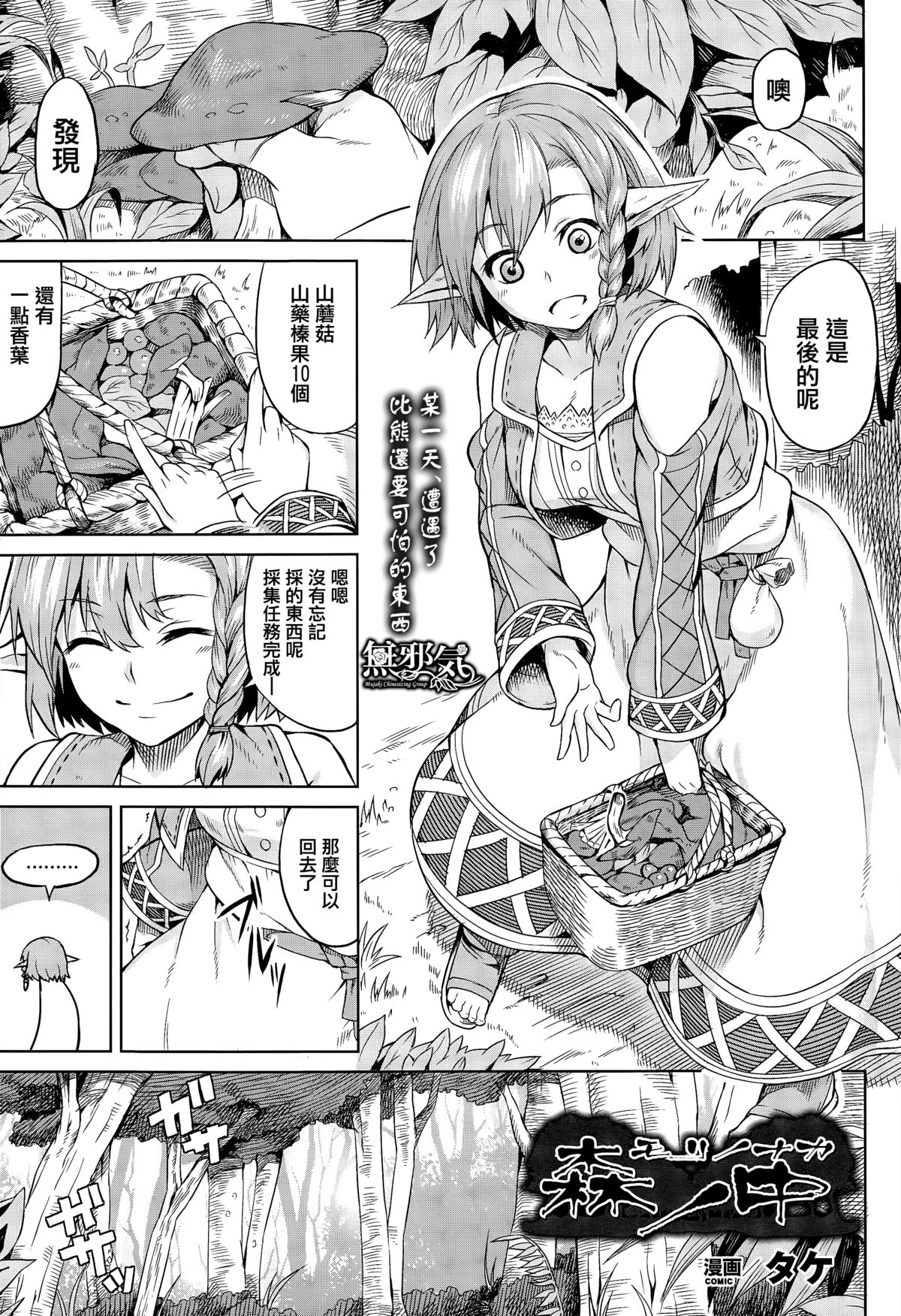 森の中の中 森の中の中