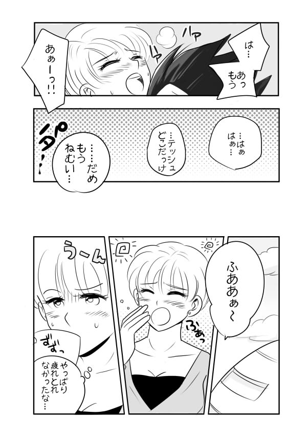 ベジータ×ブルマ