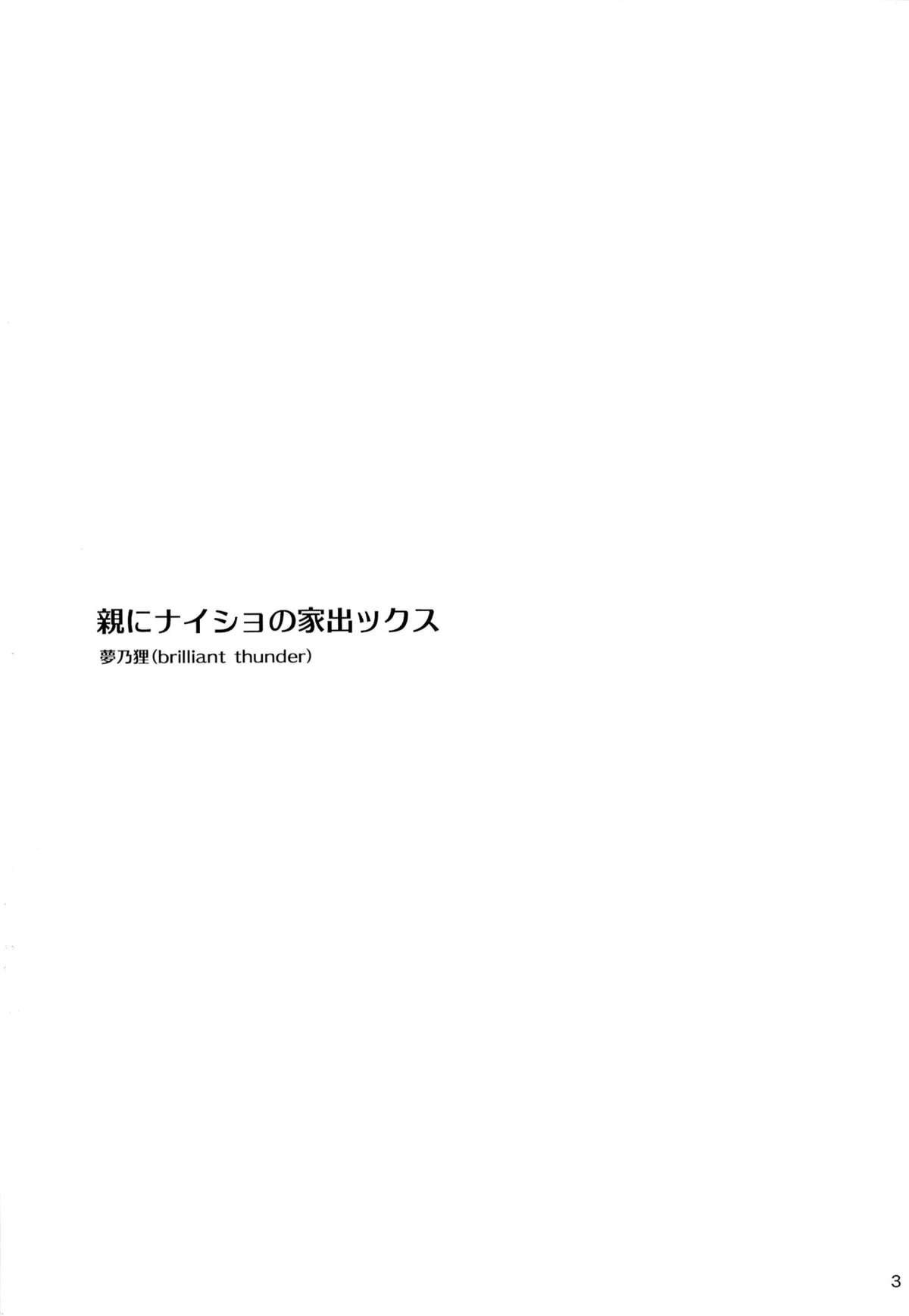 大晦蕎島のイエデックス-大晦し編