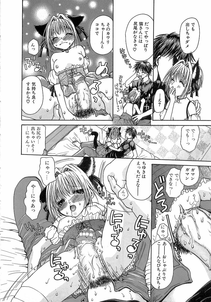 金館いもうと萌