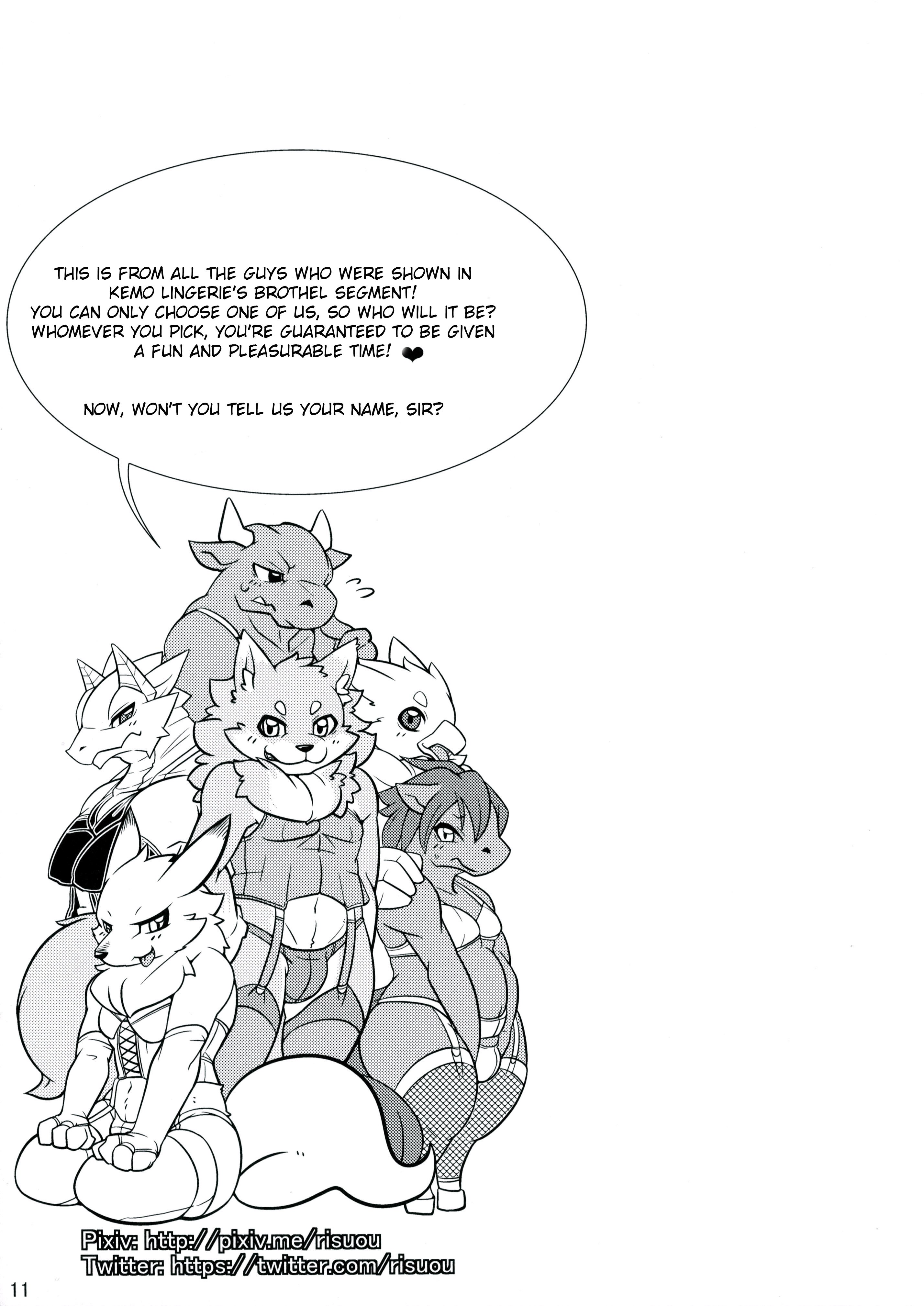 ケモランジェリーブック