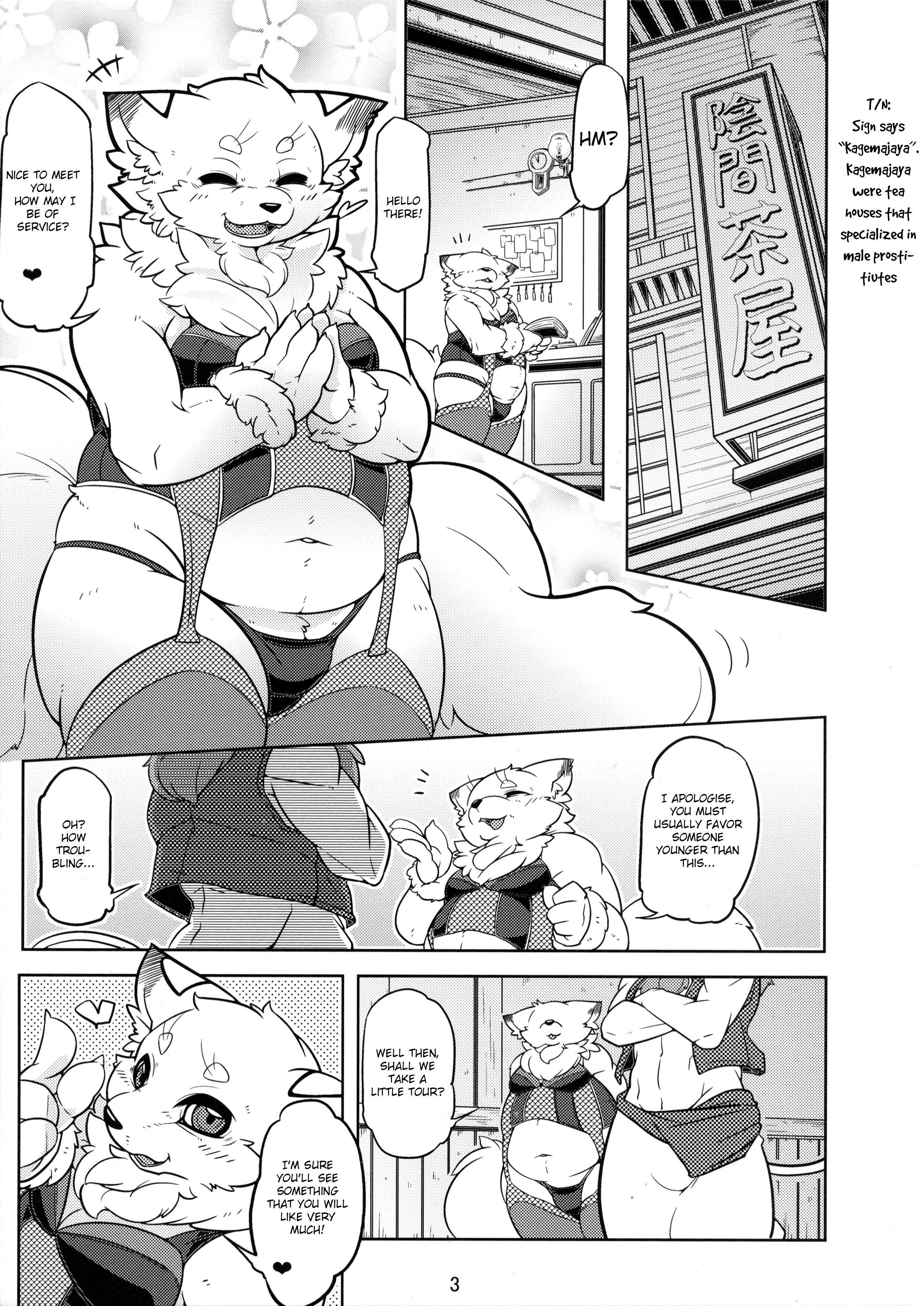 ケモランジェリーブック