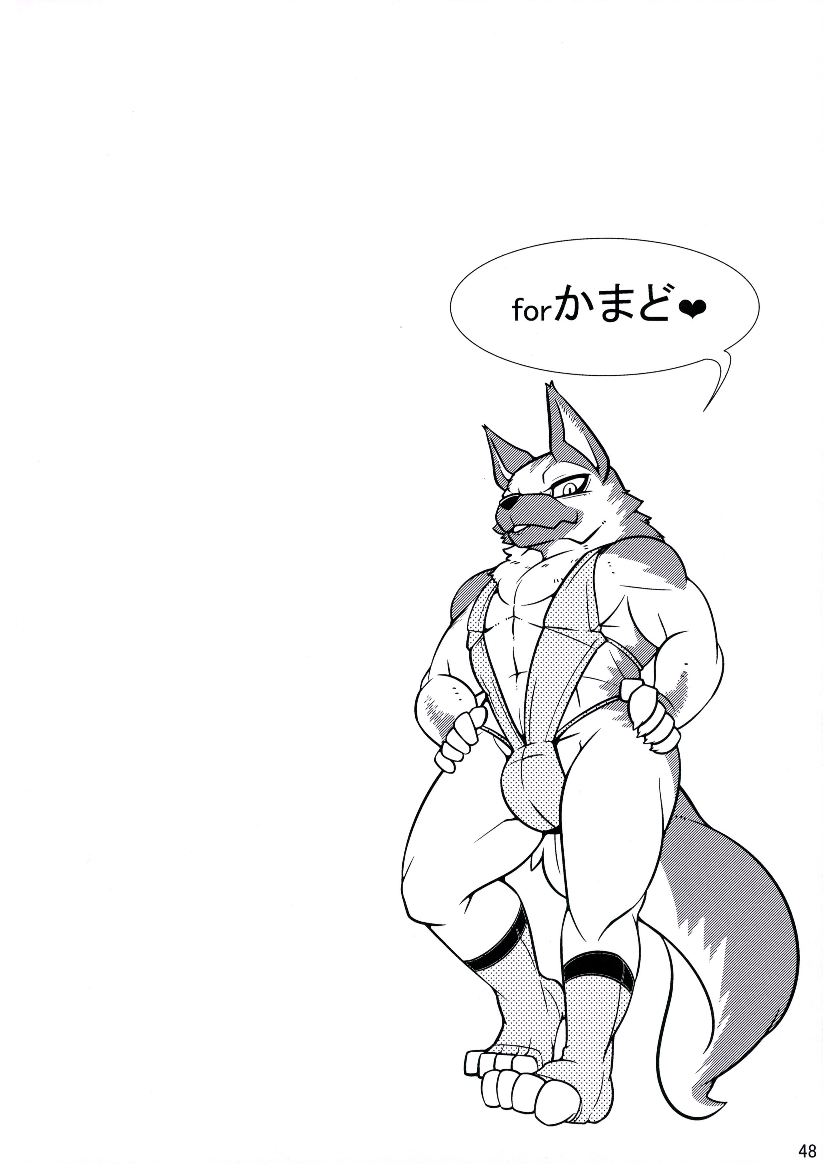 ケモランジェリーブック