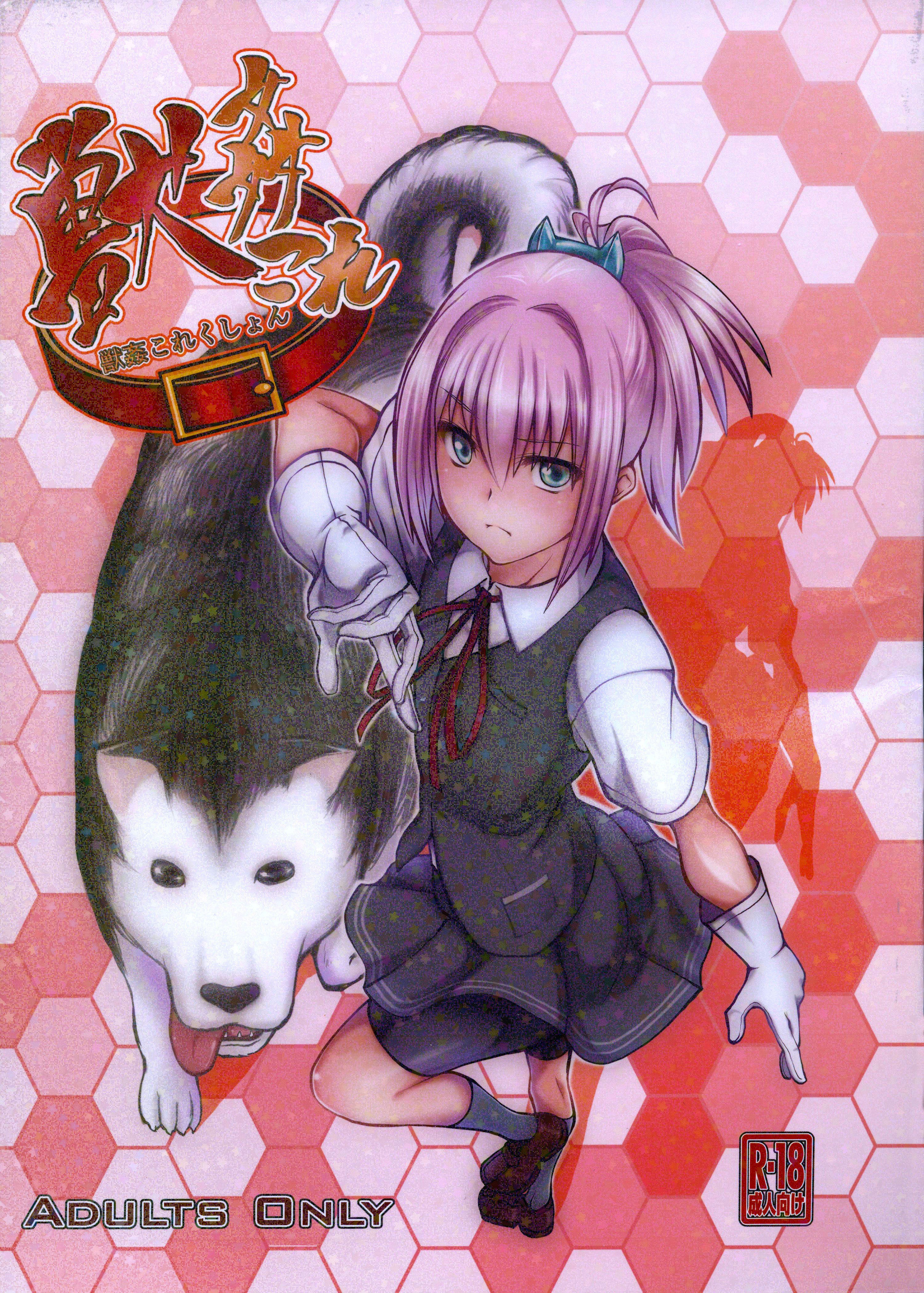 じゅうかんコレクション