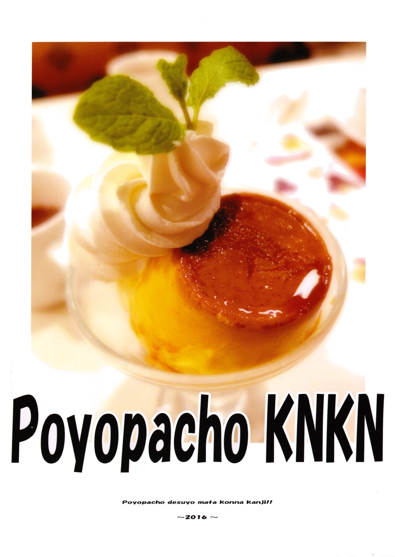 ポヨパチョKNKN