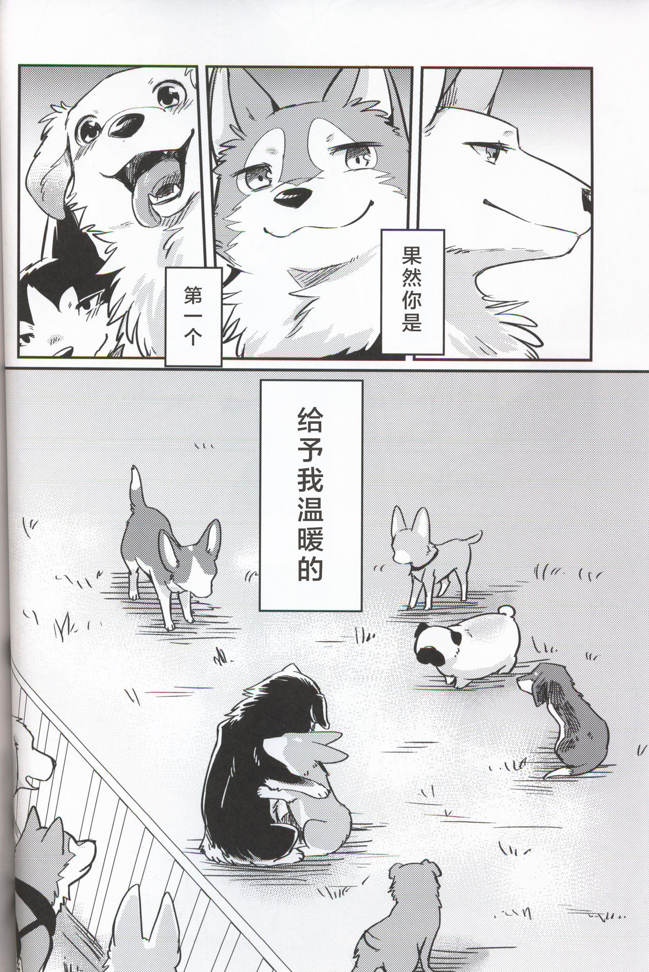 (関西!けもケット7) [回転ParaDOGs (奈賀つくね)] 嘘つきたちの『 』 [中国翻訳]